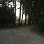 Photo of Maple Leaf Motel