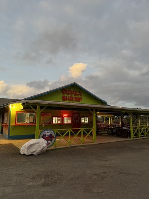 Tanaka Kahuku Shrimp by null