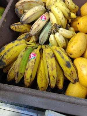 La Bodeguita by null