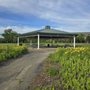 Century Park Arboretum