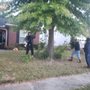 Eben Gray's Tree Service