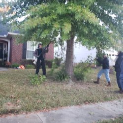 Eben Gray's Tree Service