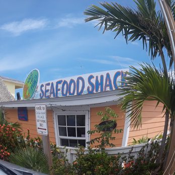 What The Fish Rolls - Our Blue Paradise - Seafood Near Me - Tavernier, Florida What The Fish Rolls - Our Blue Paradise - Seafood Near Me - Tavernier, Florida