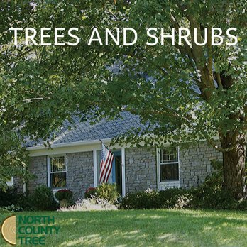 North County Tree - Tree Services Near Me North County Tree - Tree Services Near Me