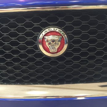 Jaguar Norwood - Looks more like a character in the Lion King - Car Dealers Near Me - Norwood, Massachusetts Jaguar Norwood - Looks more like a character in the Lion King - Car Dealers Near Me - Norwood, Massachusetts