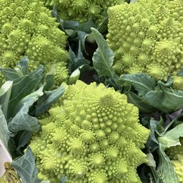Roman cauliflower