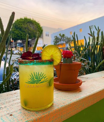 Prima Cantina & Tacos by null