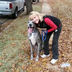 Bark Busters Home Dog Training Fort Worth