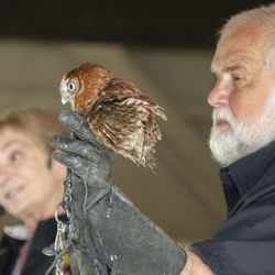 Lake George R V Park - Summer entertainment includes programs for all ages, such as this educational bird session!