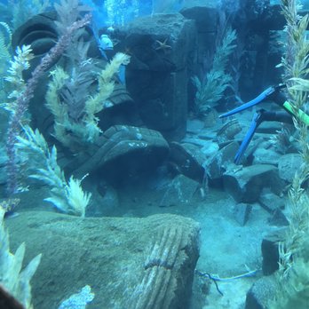 Finding Nemo Submarine Voyage - Amusement Parks Near Me - Anaheim, California Finding Nemo Submarine Voyage - Amusement Parks Near Me - Anaheim, California