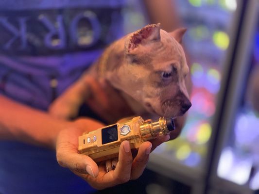 207 SMOKE N VAPE - Updated May 2026 - 39 Photos & 15 Reviews - 569 W 207th  St, New York, New York - Vape Shops - Phone Number