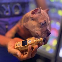 207 Smoke N Vape - Ora loves the atmosphere of the shop