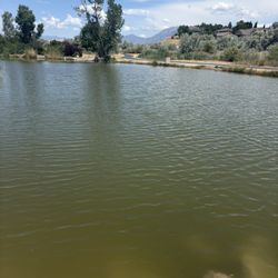 Nice little pond. Lots of kids were out fishing on a quiet Saturday morning.