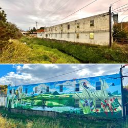 City of Pullman - This before & after makes me so happy