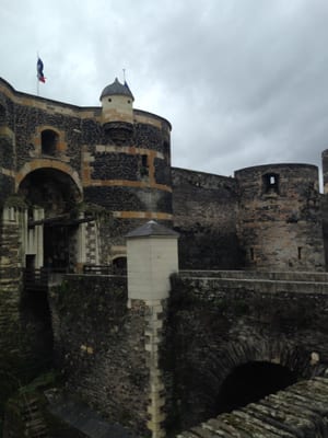 Château d'Angers by null