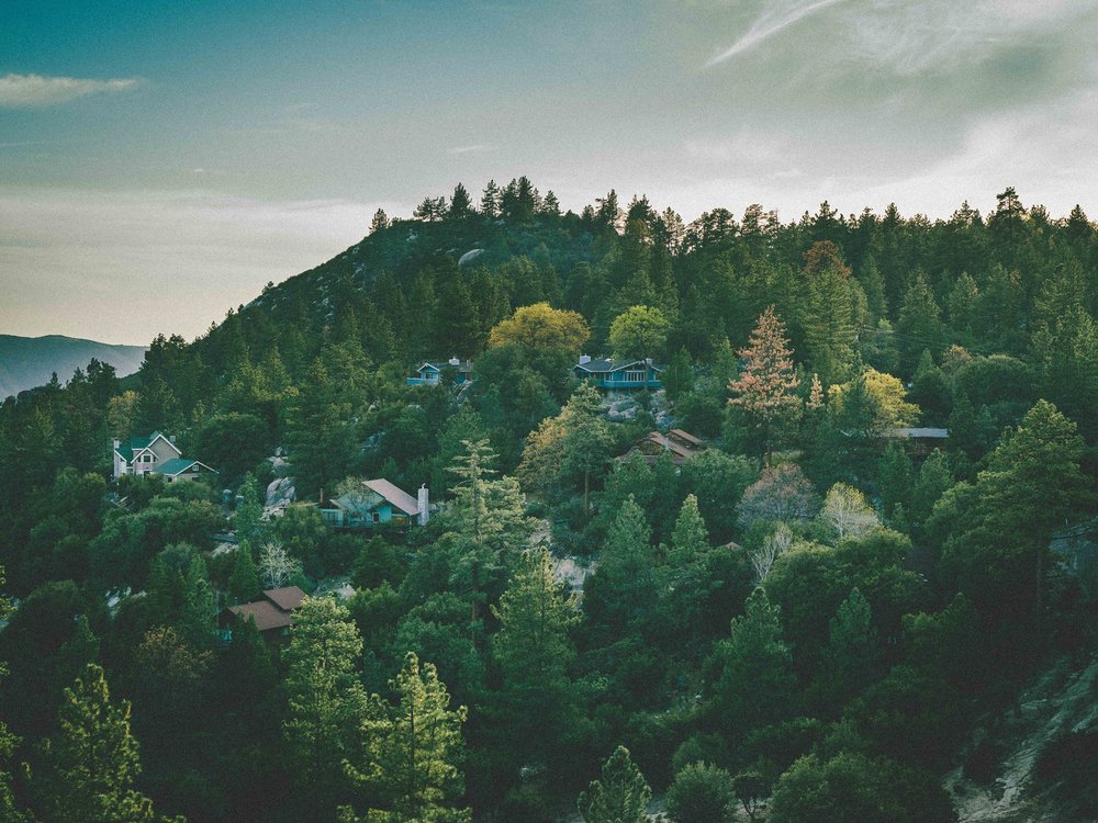 MEAGAN GREENE REAL ESTATE AGENT Contact Agent 26400 Hwy 243