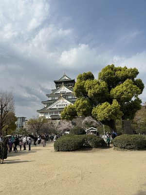 Osaka Castle Park by null