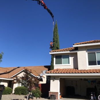 TreeMax Tree Service - Tree Services Near Me - Citrus Heights, California TreeMax Tree Service - Tree Services Near Me - Citrus Heights, California