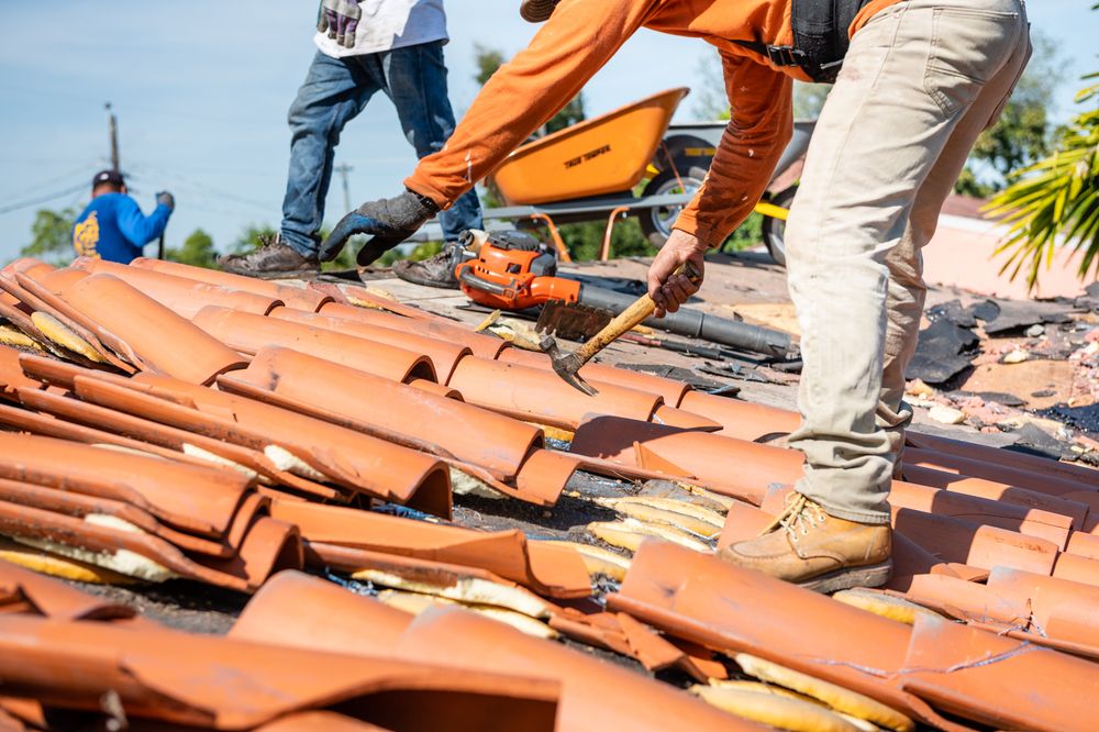 Slide of El Mago's Roofing