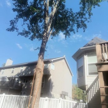 Fox's Tree Service - Tree Services Near Me - Union, Missouri