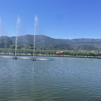 Alpha Omega - Wineries Near Me - Saint Helena, California