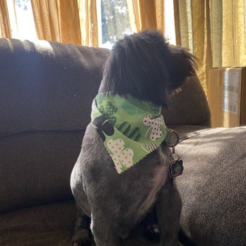 Optimus Pet Grooming - Pet Groomers Near Me - Fresno, California Optimus Pet Grooming - Pet Groomers Near Me - Fresno, California