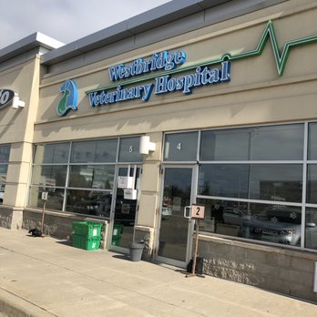 Westbridge Veterinary Hospital - Veterinarians Near Me - Mississauga, Ontario Westbridge Veterinary Hospital - Veterinarians Near Me - Mississauga, Ontario