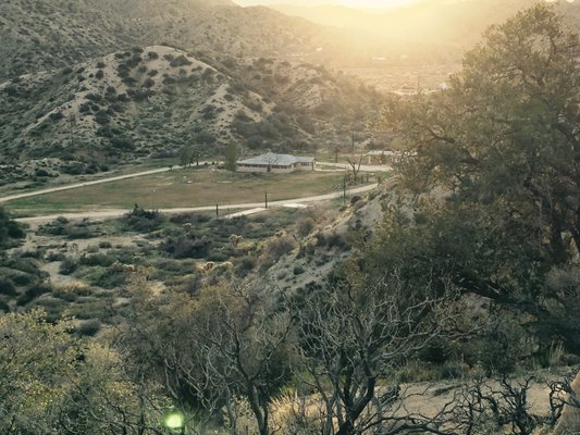 DESERT ALARM - Updated December 2025 - 13 Photos & 266 Reviews - 73-168