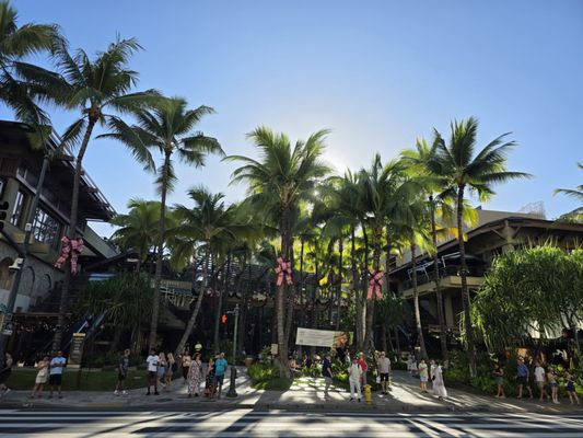 Royal Hawaiian Center by null