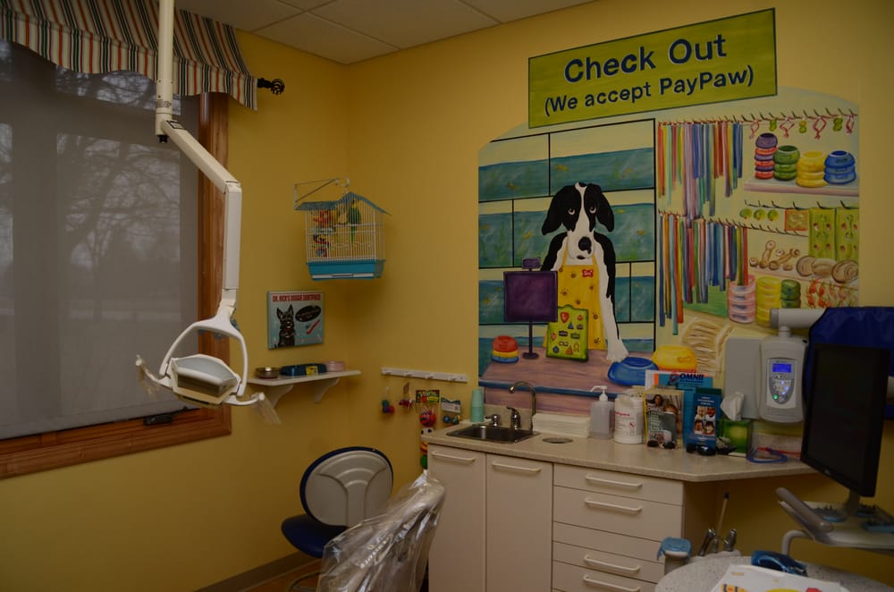 Small World Children's Dentistry - patient advocate in Brookfield, WI