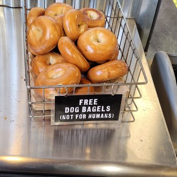 Blazing Bagels - Free dog bagels ! - Bakeries Near Me - Redmond, Washington
