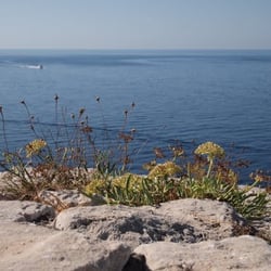 Faro di Punta Carena