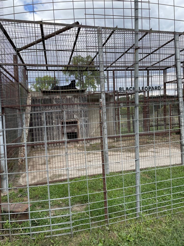 ANIMAL HAVEN ZOO Updated August 2024 22 Photos N1720 Buchholz Rd