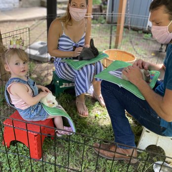 Squeals On Wheels Petting Zoo - Party Equipment Rentals Near Me