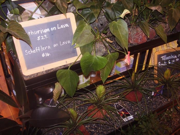 Slide of Orian Construction & Roofing