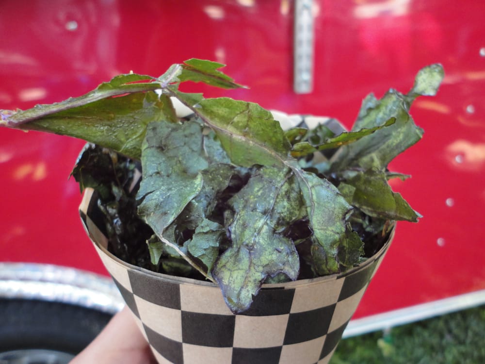 Mckenzie River Organic Farm Logo