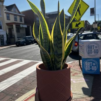 Grounded - Cafes Near Me - Washington, DC, District of Columbia
