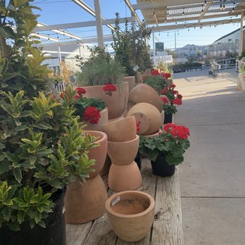 North Haven Gardens - Nurseries & Gardening Near Me - Dallas, Texas North Haven Gardens - Nurseries & Gardening Near Me - Dallas, Texas