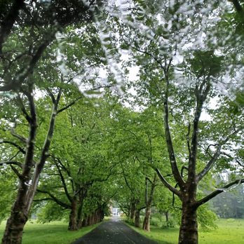 Fonthill Castle - Driving to the castle - Museums Near Me - Doylestown, Pennsylvania