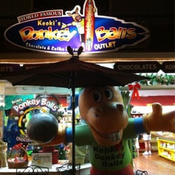 Surfin Ass Coffee & Donkey Balls