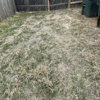 Q Landscape - Lawn Services Near Me