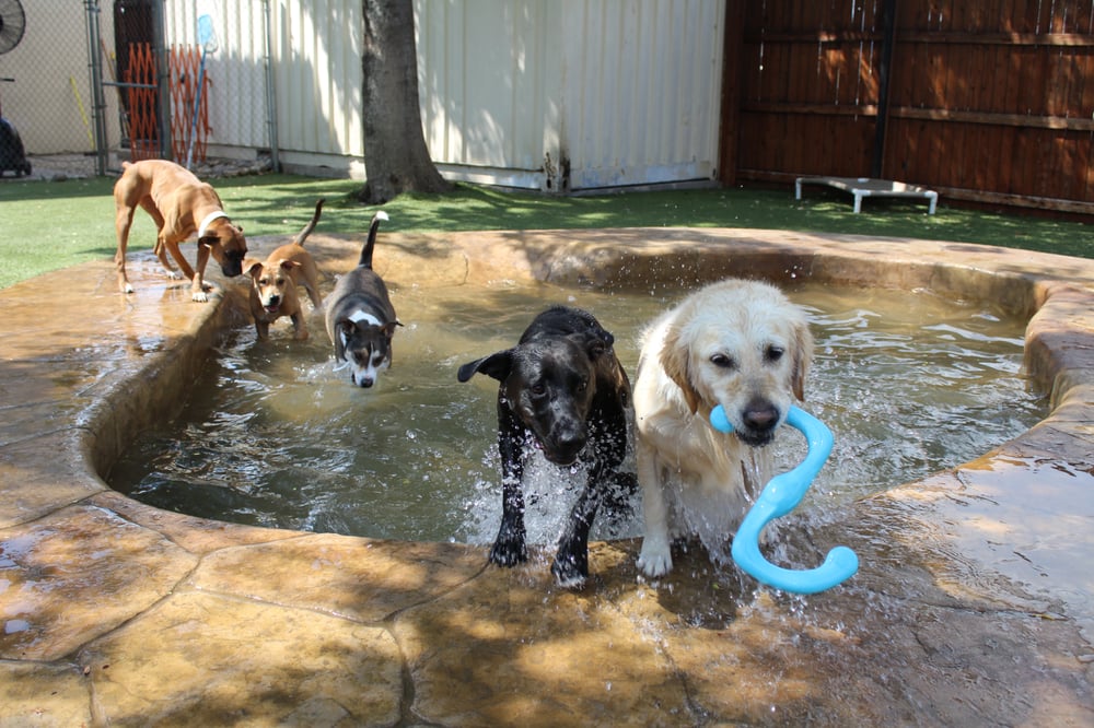 RUTHERFORD VETERINARY HOSPITAL Updated September 2024 30 Photos