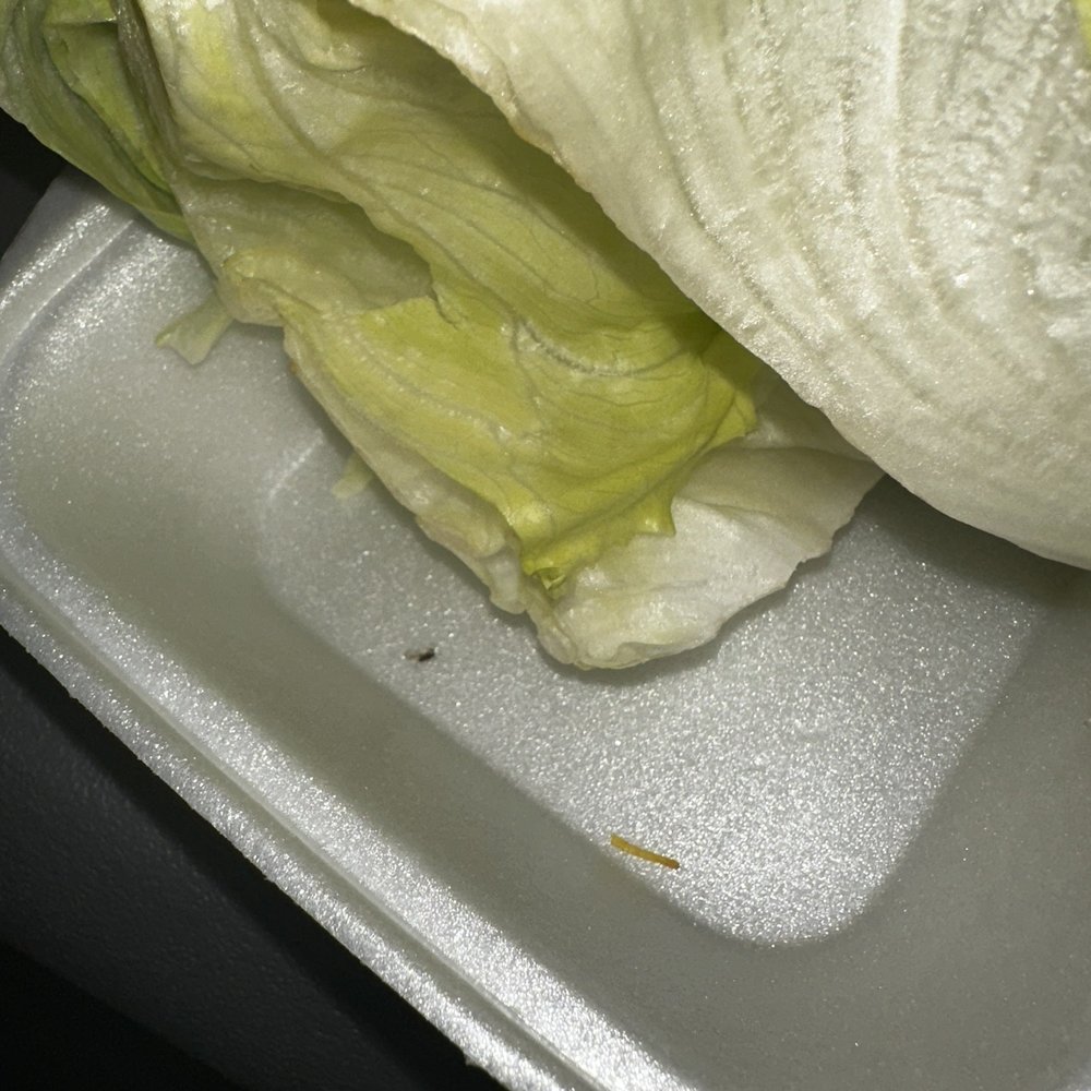 888 Bistro - Lettuce with bugs - Chinese Near Me - Houston, Texas 888 Bistro - Lettuce with bugs - Chinese Near Me - Houston, Texas