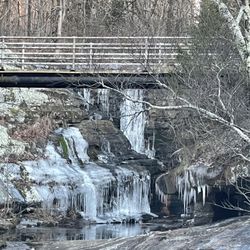 Dixon Springs State Park - The water fall