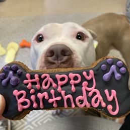 birthday cookie birthday cookie
