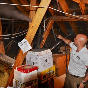 Resolve Pest Control - Dusting the attic; Cypress, TX - Pest Control Near Me Resolve Pest Control - Dusting the attic; Cypress, TX - Pest Control Near Me