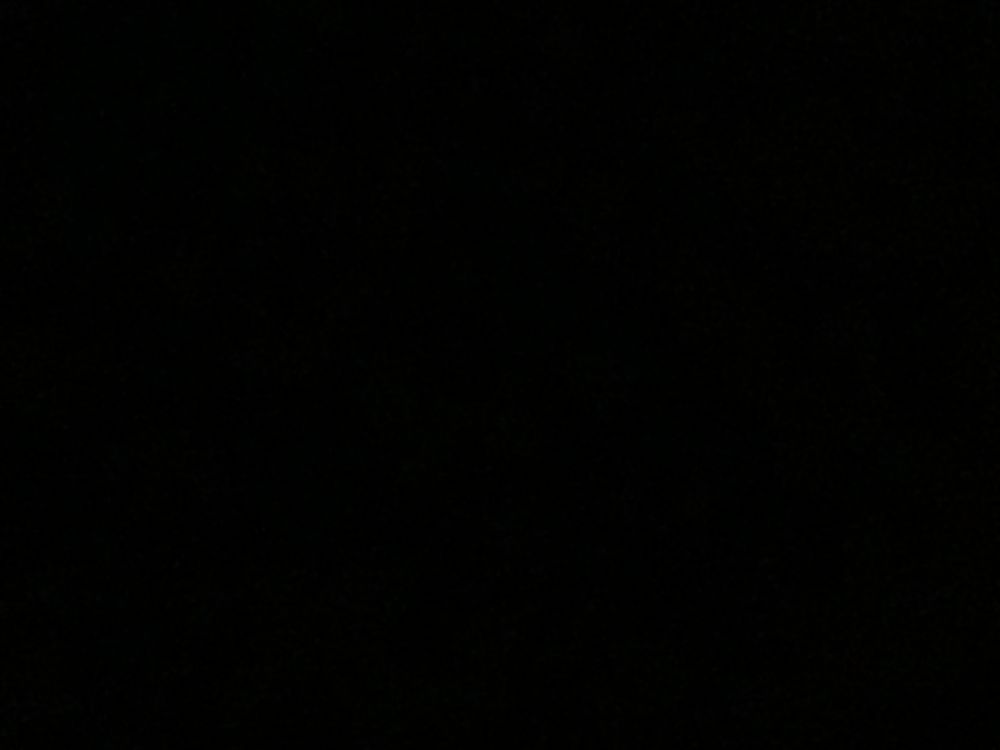 BRONSON ELEMENTARY SCHOOL Updated August 2024 E Thrasher Dr