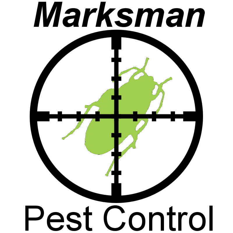 MARKSMAN PEST CONTROL Updated October 2024 12 Reviews 459 Main St