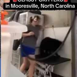 Classy Critters - Pet abusers and the owner doesn't care that it's happening.   https://www.facebook.com/reel/573768862334496/?mibextid=9drbnH&s=yWDuG2&fs=e