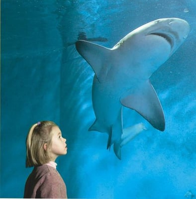 Grand Aquarium Saint Malo by null